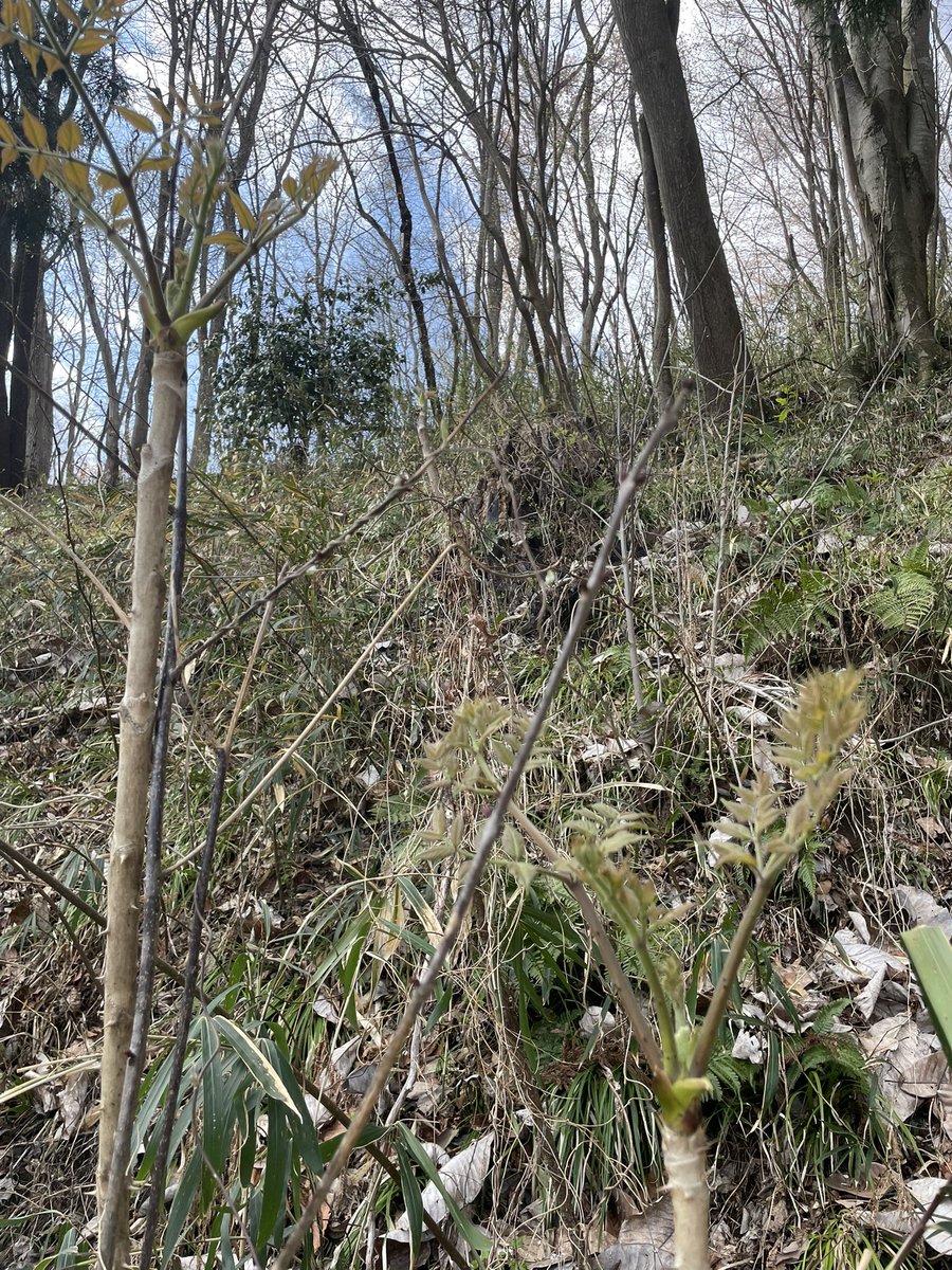 Ryo Narita tweet media