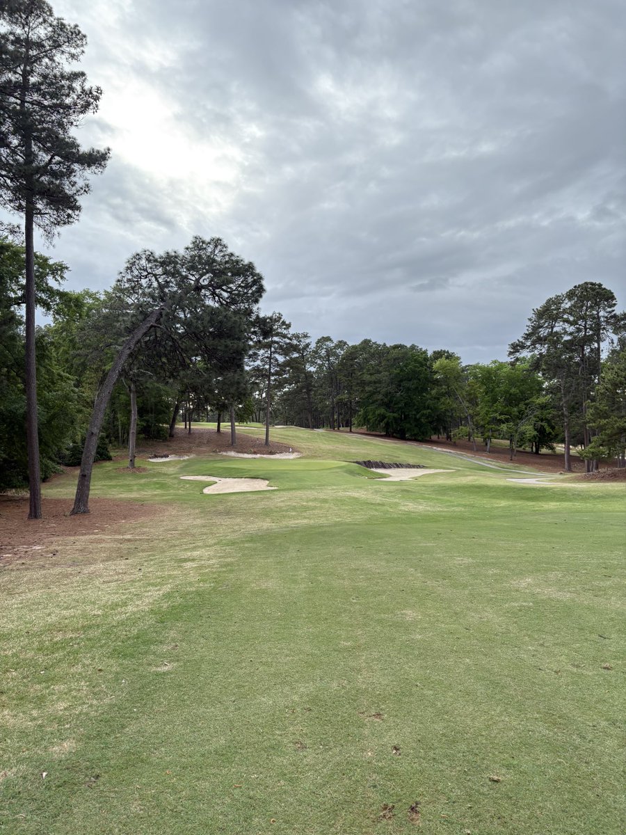 Evin Priest tweet media