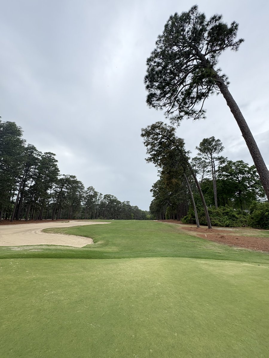 Evin Priest tweet media