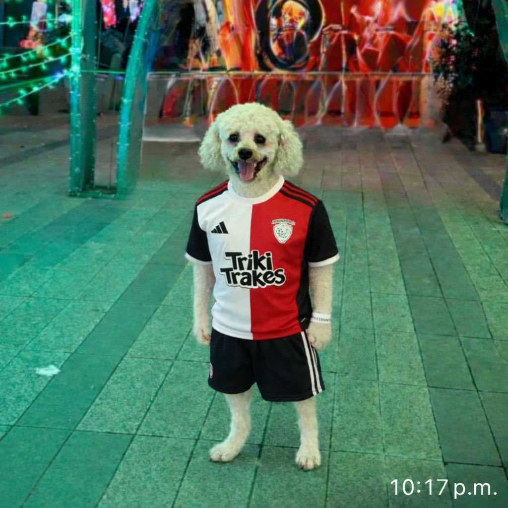 JuanSGuarnizo's tweet photo. 🚨 YA EN VIVO 🚨

ANIQUILADORES 🆚 GUERRILLA / Desde el domo 💪

Los esperooo 🤠 https://t.co/EYifmZOpMu