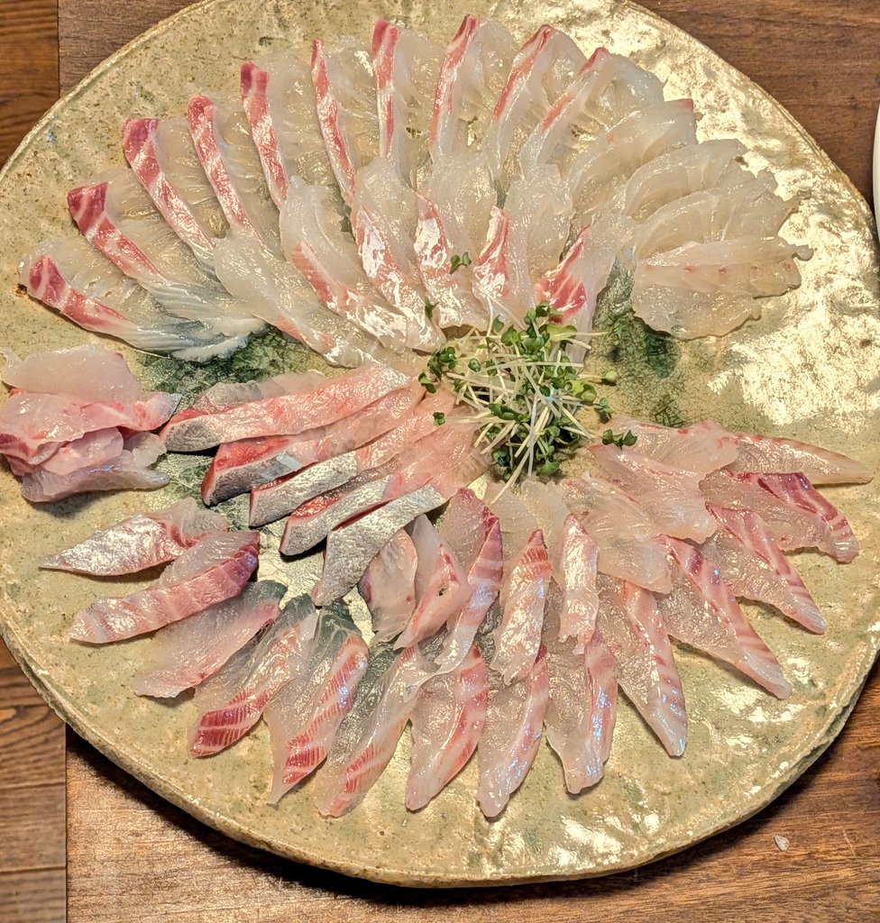 佐藤 公洋 (Koyo Sato) tweet media