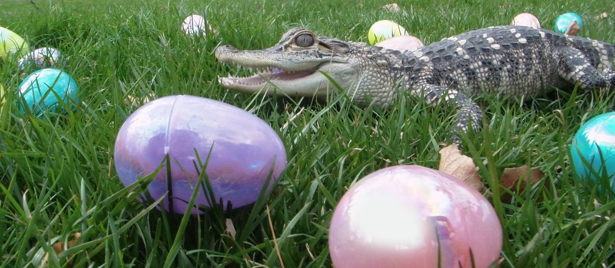 Happy hunting, you never know what you're going to find...... Happy Easter!