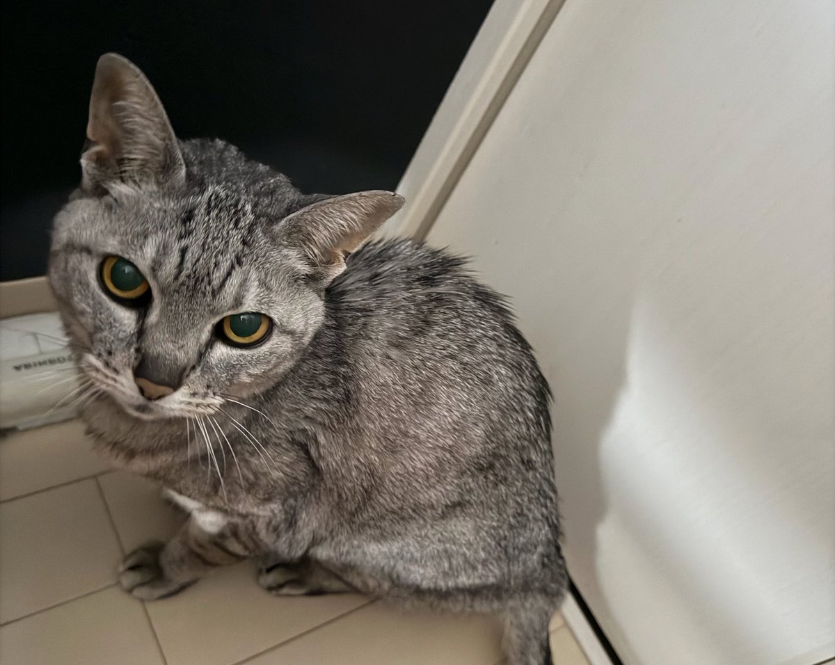 chihiro manson🜸 tweet media