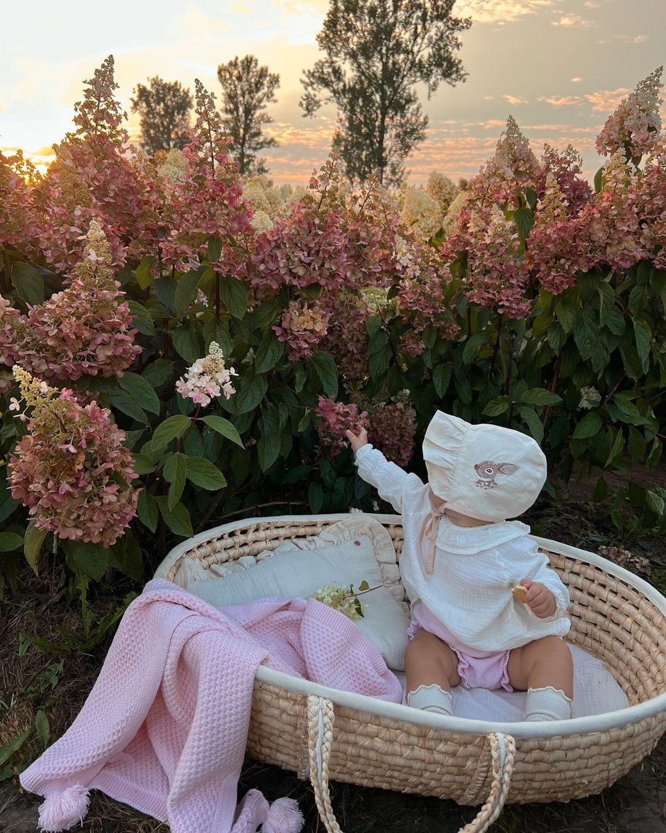 ─────┉ 𝘐𝘕𝘚𝘛𝘈 𝘚𝘛𝘖𝘙𝘠.
⠀⠀          ⤻ ﹫ᴀʟᴇssᴀɴᴅʀᴏᴍᴀʀᴄʜᴇᴛᴛɪ: 🐰💘