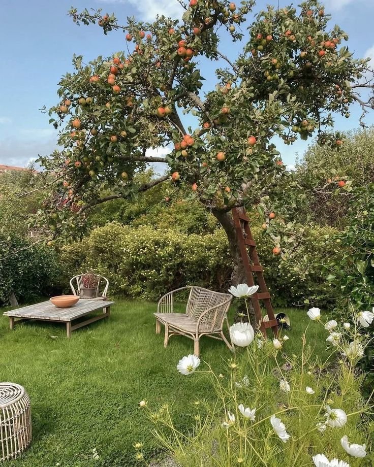 𝑝𝑢𝑟𝑒 tweet media