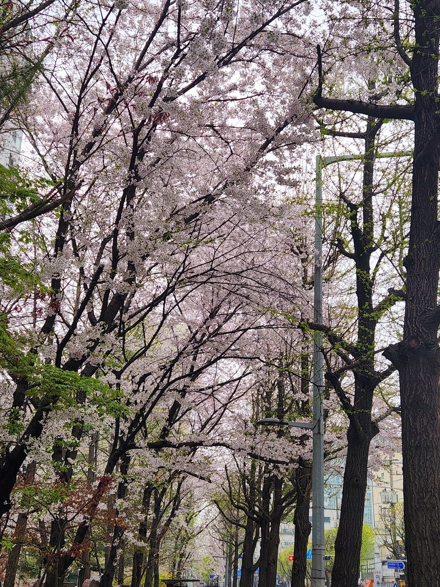 𖤐꙳⋆ tweet media