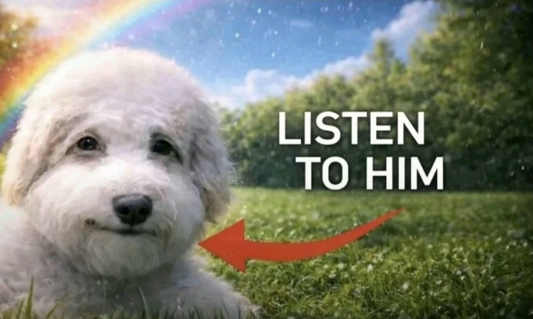 Dark Jimmy tweet media