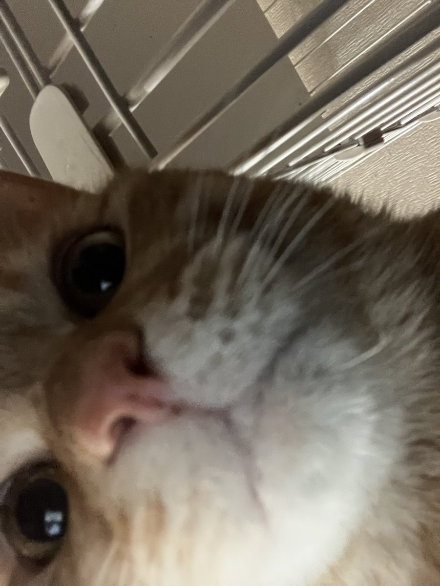 あすあす⛳️砂女👸👑*ﾟ tweet media