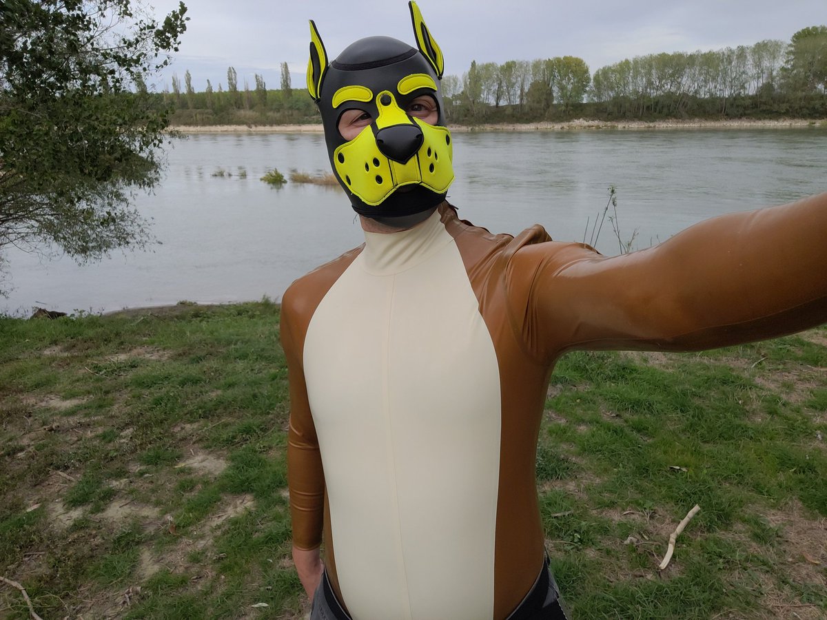 Squeaky Barking Awoo tweet media