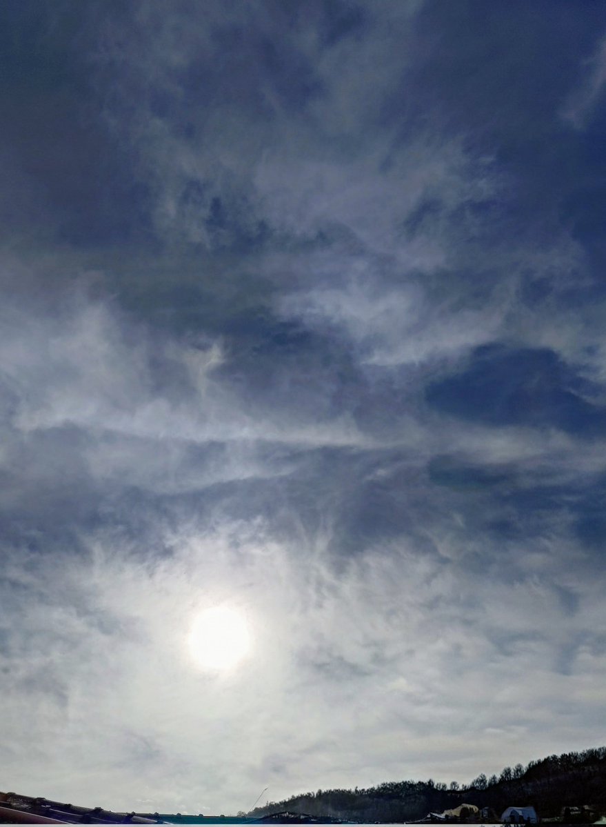 青いくま【本人】 tweet media