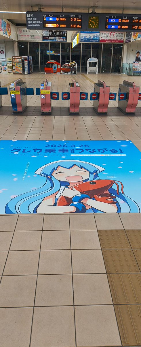 ひなたぼっこ🧸🌠🍀⛩️ tweet media