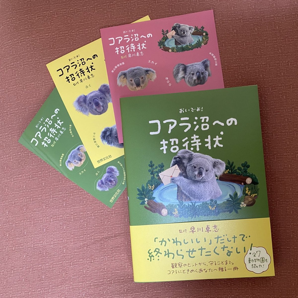 Hayatak_Lab's tweet photo. 『コアラ沼への招待状』が世界文化社さん@sebunmedia より刊行されました。コアラの生態、進化、人との関わり、そして飼育の歴史と現在について網羅しています。森林火災の起きた森で保全する現場の方へのインタビューも実現しました。ぜひこの本を通じてコアラの未来を考えるきっかけにしてください🐨 https://t.co/VaNPVeF7TC