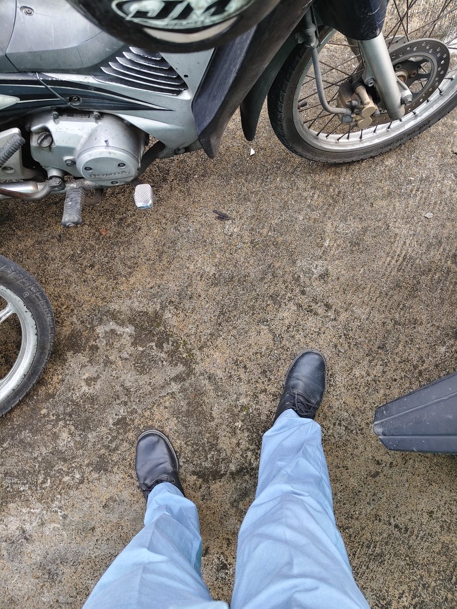 Roro $MON $1 tweet media