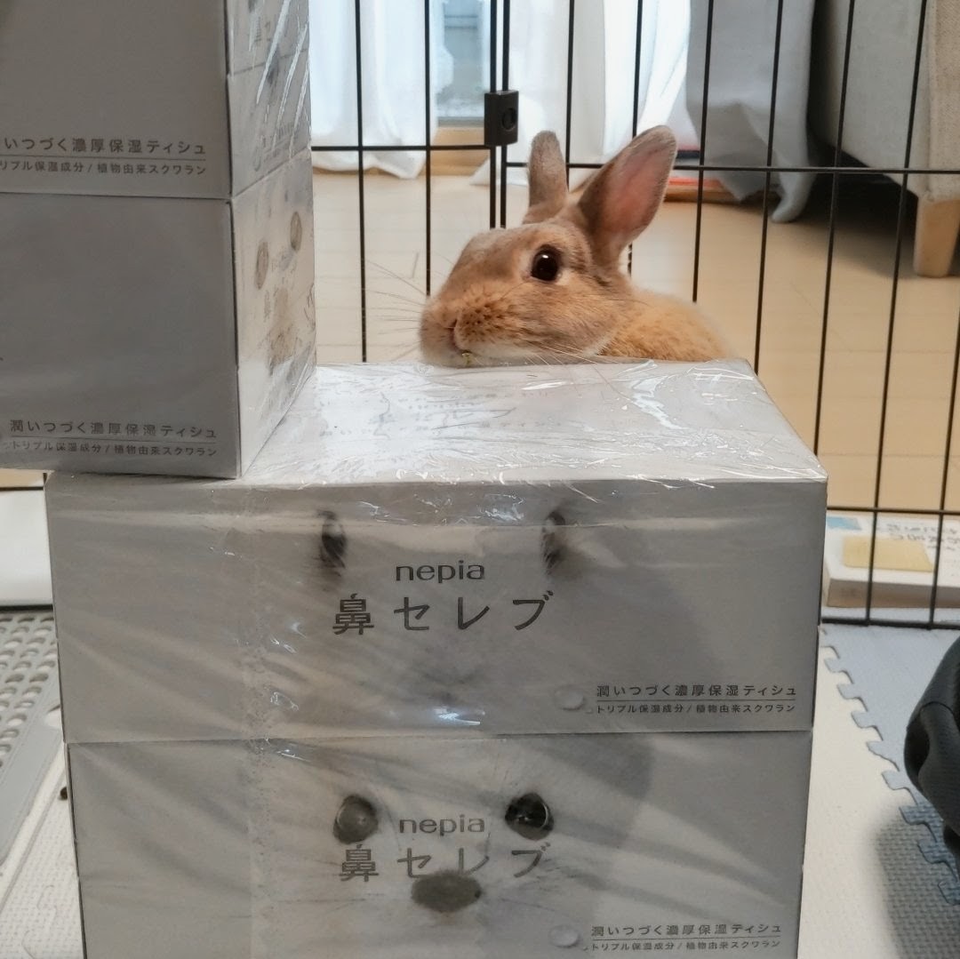 こはるパパ tweet media