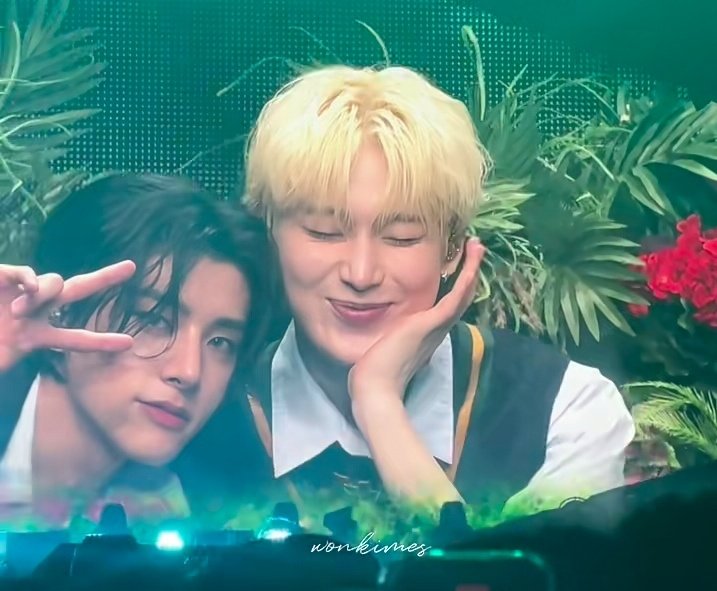 🦊🌻 | fan account tweet media