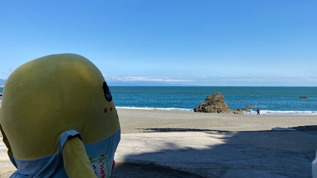 ふなっしー💙 tweet media