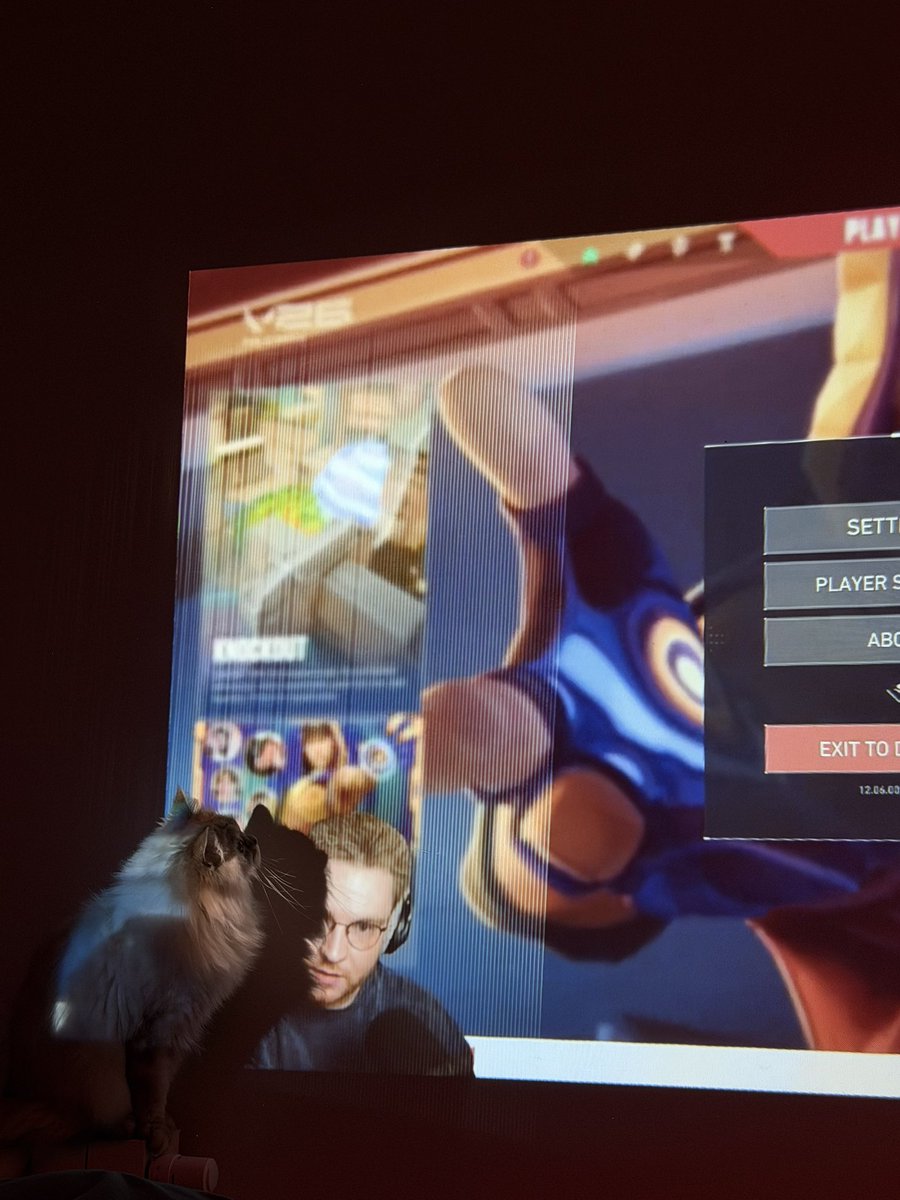 lauren⁷ tweet media