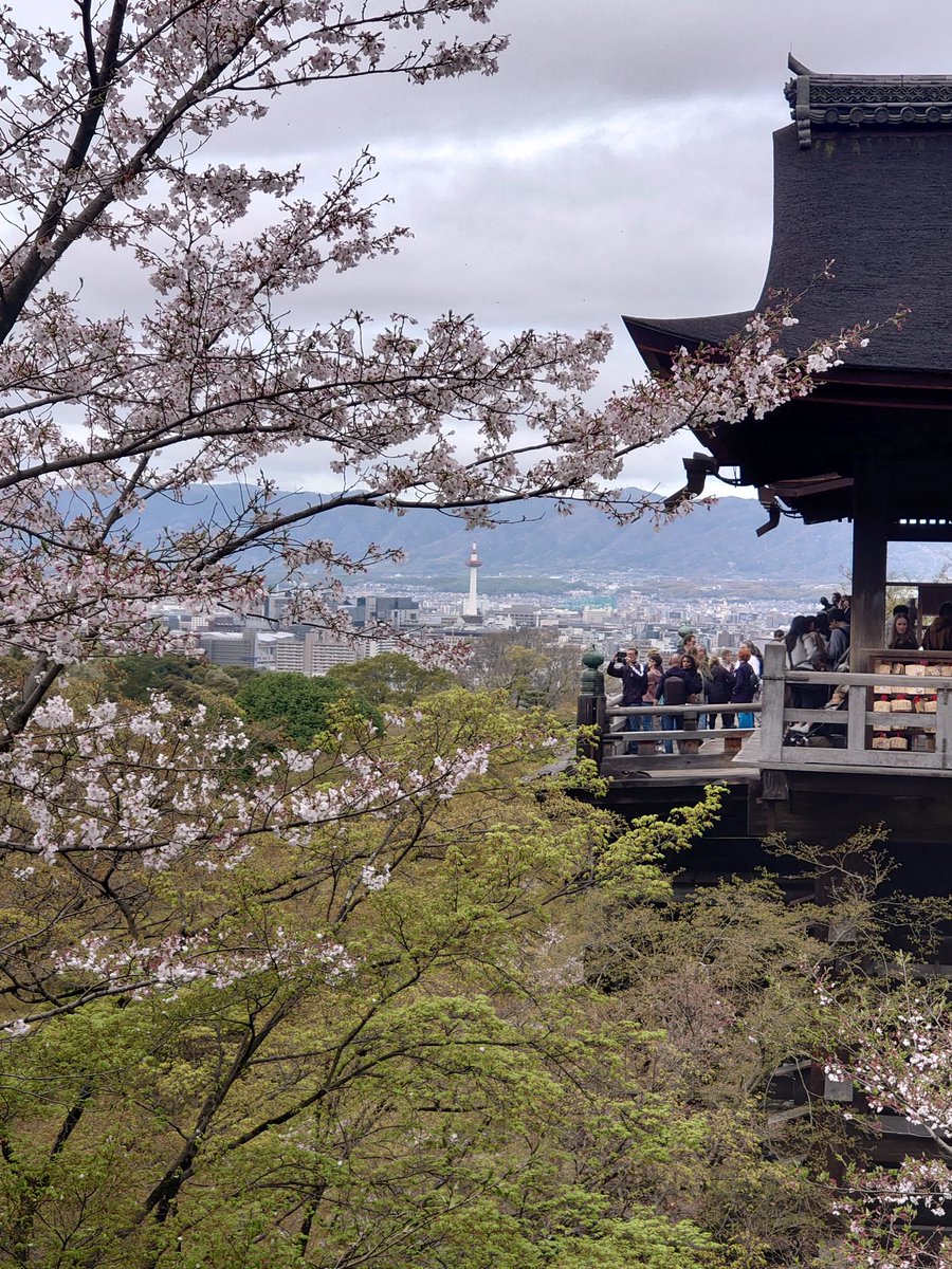 のりたまご tweet media