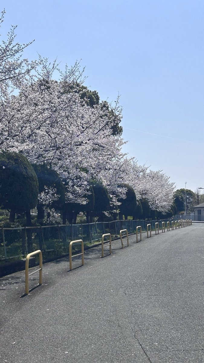 Shige1010 tweet media