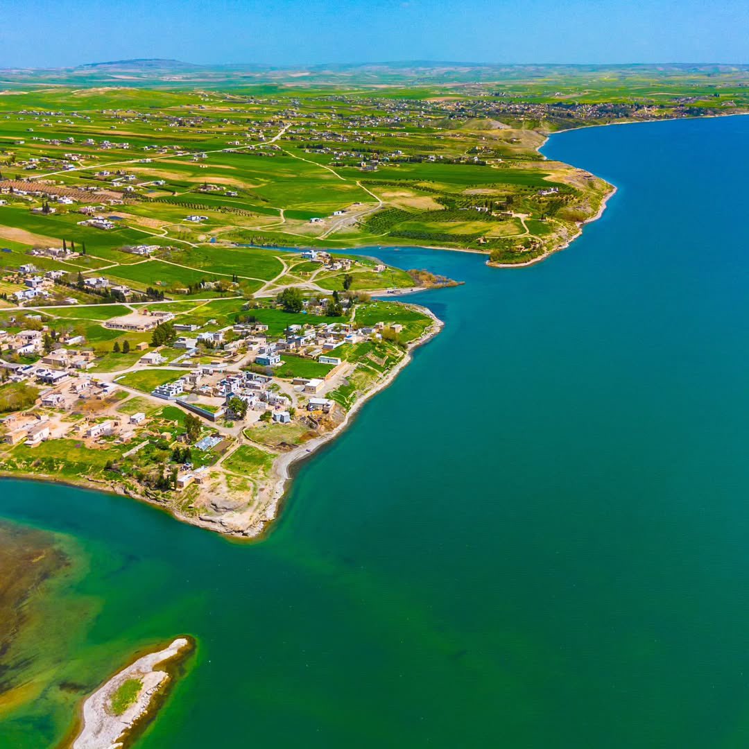 Syria Visuals tweet media