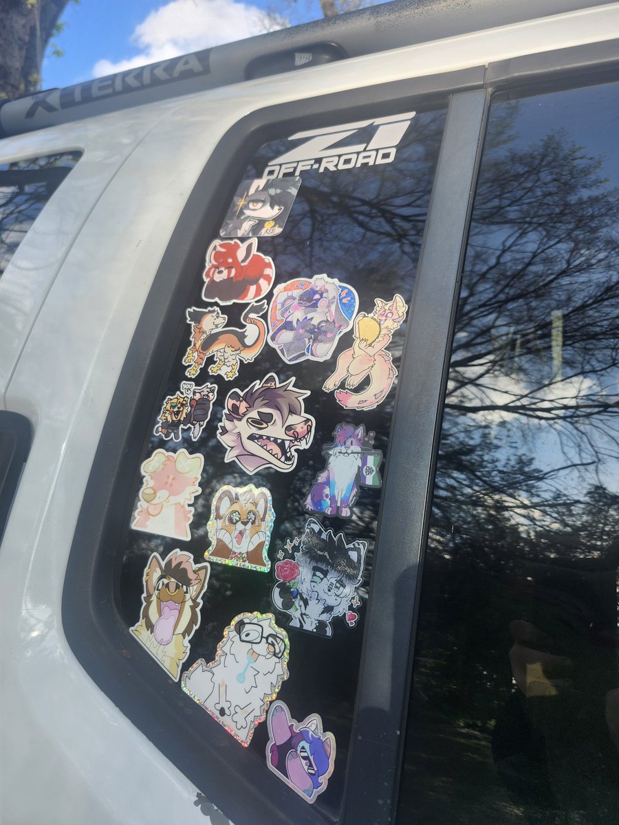 FallApollo ➡️ TFF🏕 tweet media