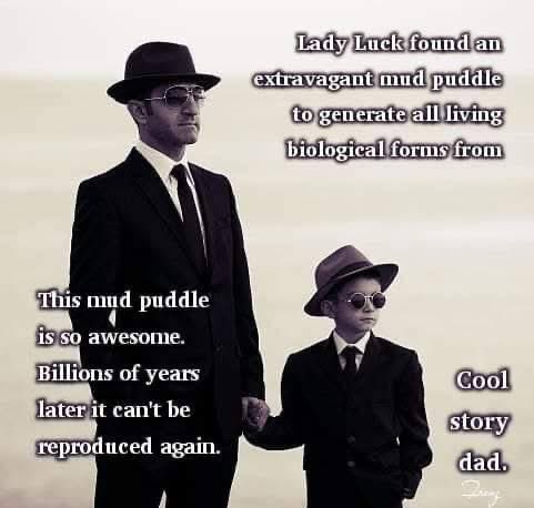 Not Evolution tweet media