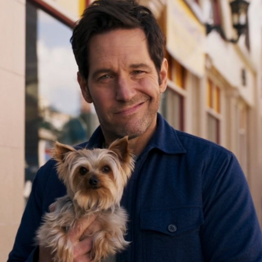 Marvel Updates tweet media