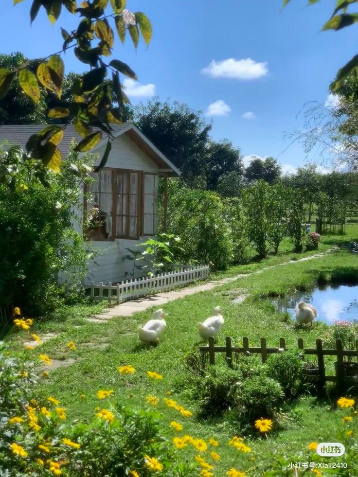 𝑒𝑙𝑦𝑟𝑎 tweet media