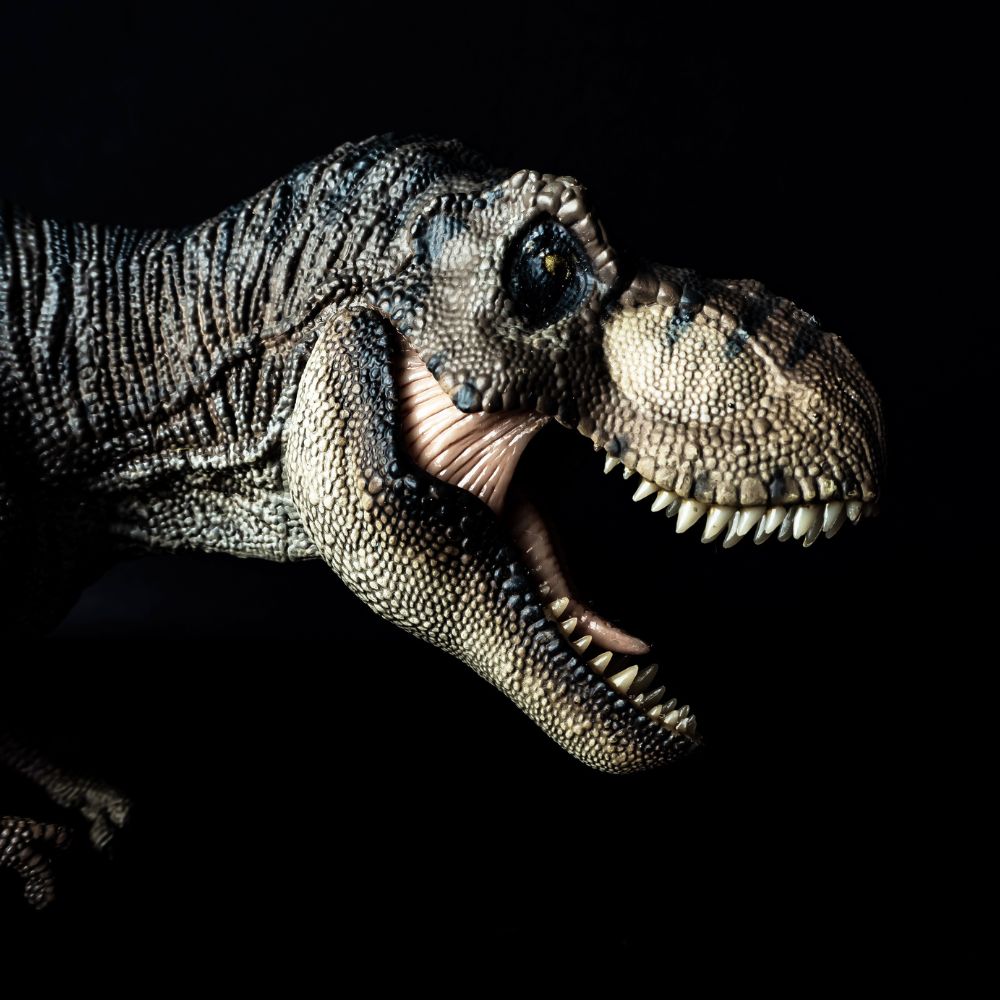 Enséñame de Ciencia tweet media