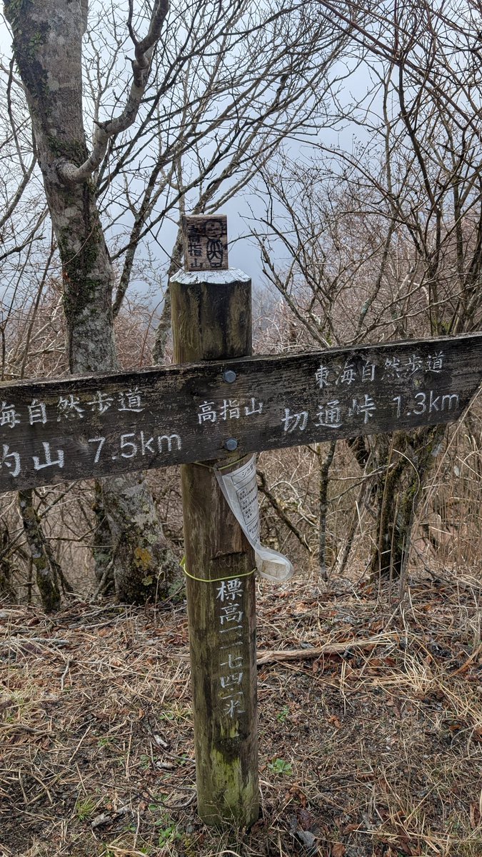 ヒロキ tweet media