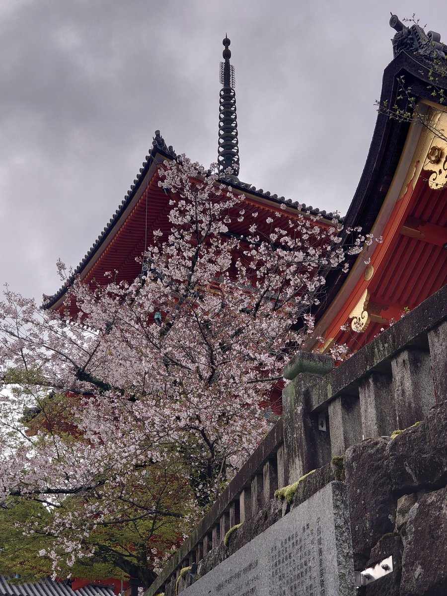 のりたまご tweet media