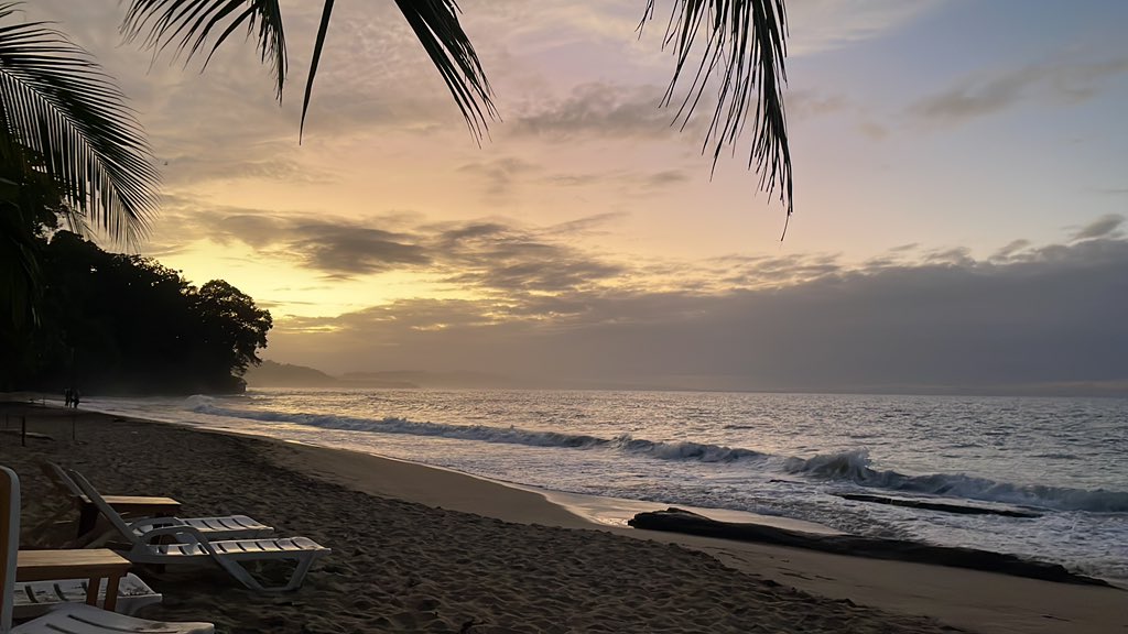 me viste en el pogo tweet media