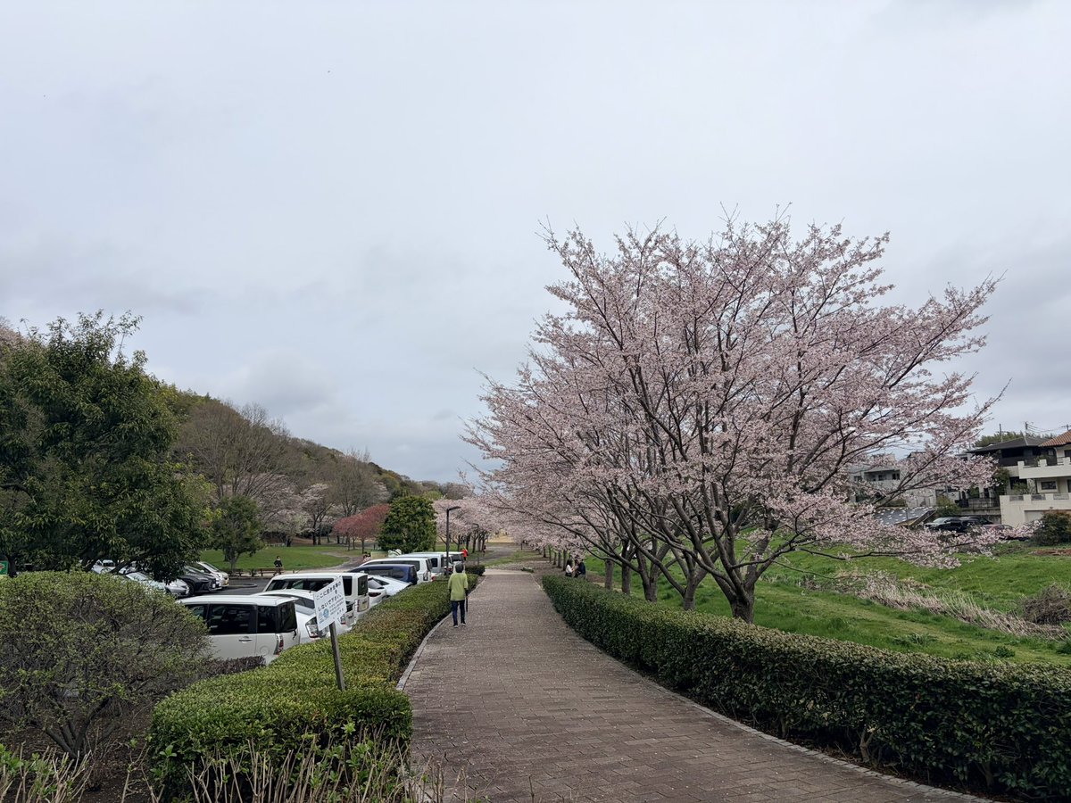 李 忠烈 tweet media