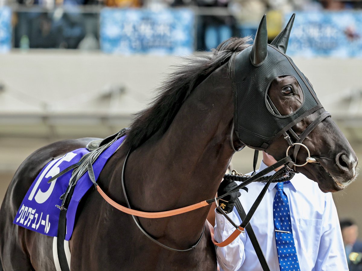 M i k a 。。* tweet media