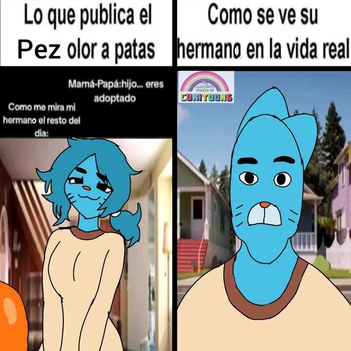 Un Random ⚫ tweet media