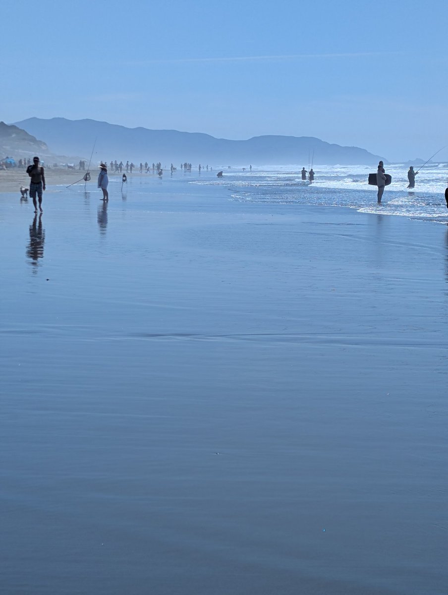 いつでもビールは旨い tweet media