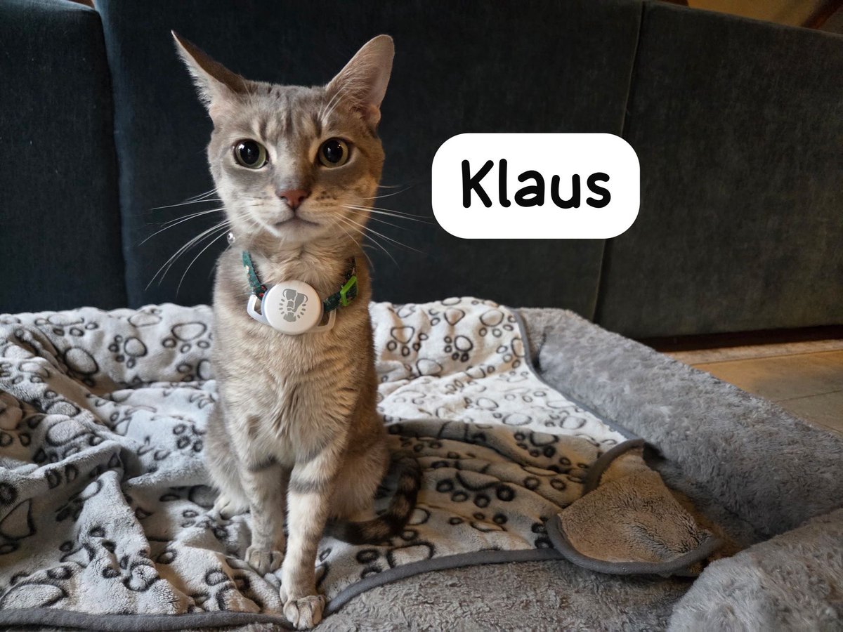 Rescue Ridge tweet media