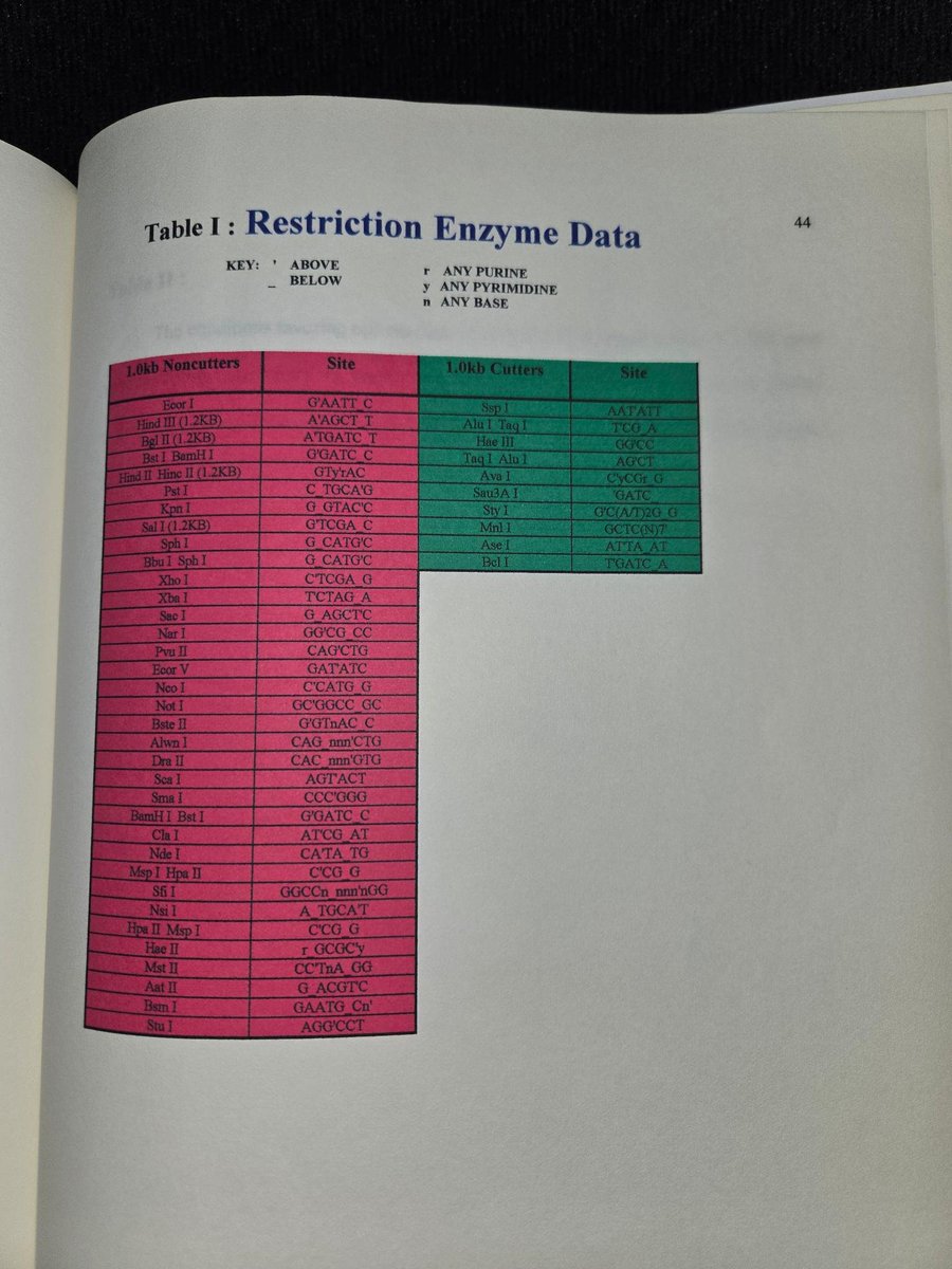 AllicinV ( 大蒜素-V ) - (TM) tweet media