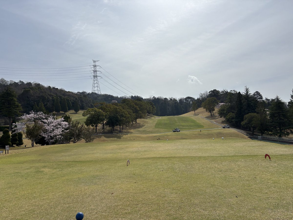 Tさん⛳️ tweet media