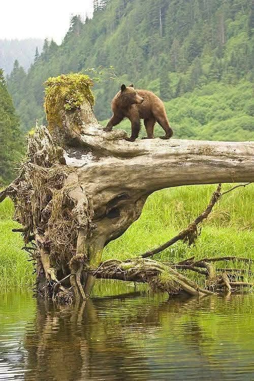 vivaneil tweet media