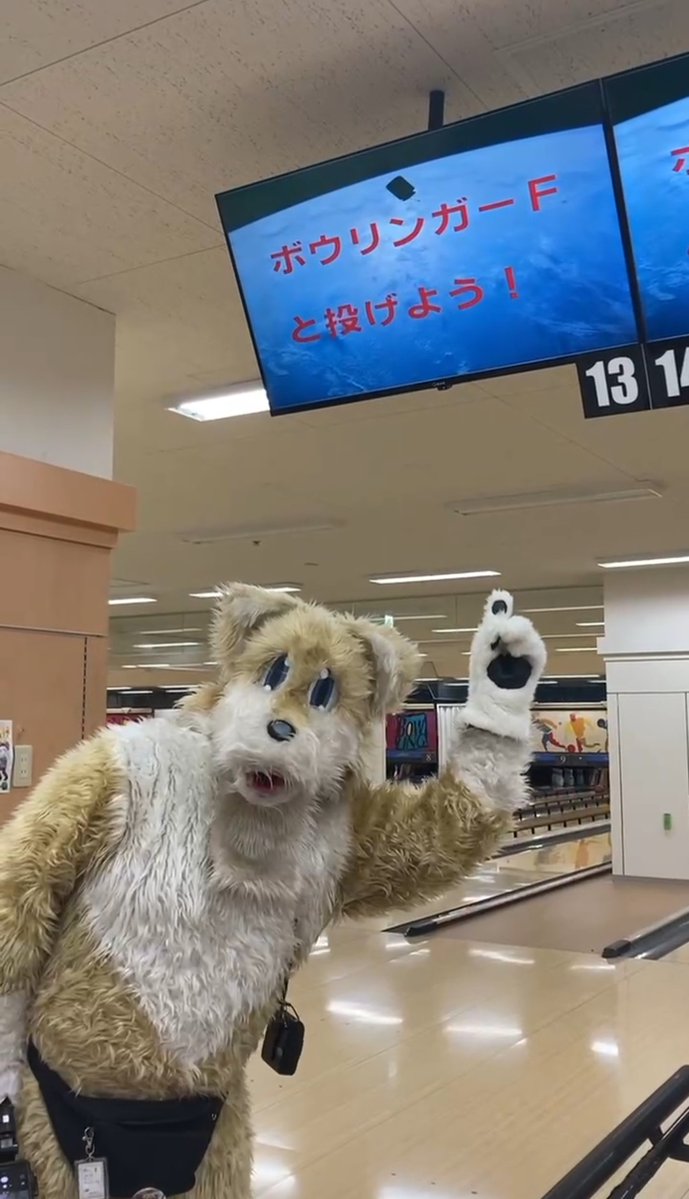 栃木の着ぐるみ犬 tweet media