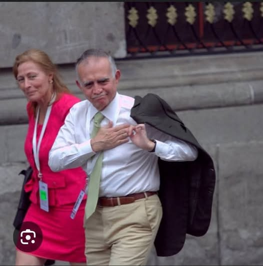 EL TORITO ALFA HETEROPATRIACAPITALISTA tweet media
