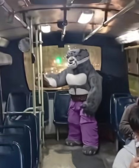 Dime que este va pal centro shifu