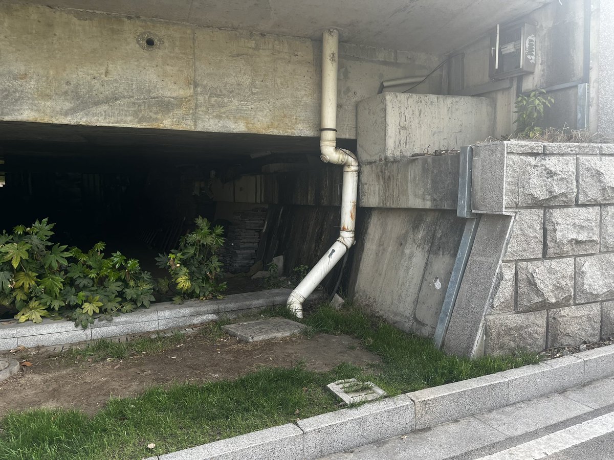 山茶树下马卡龙 tweet media