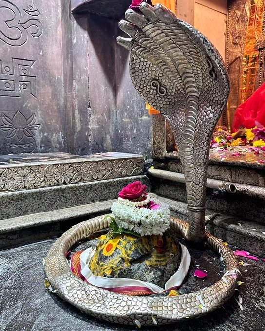 SP Mishra tweet media