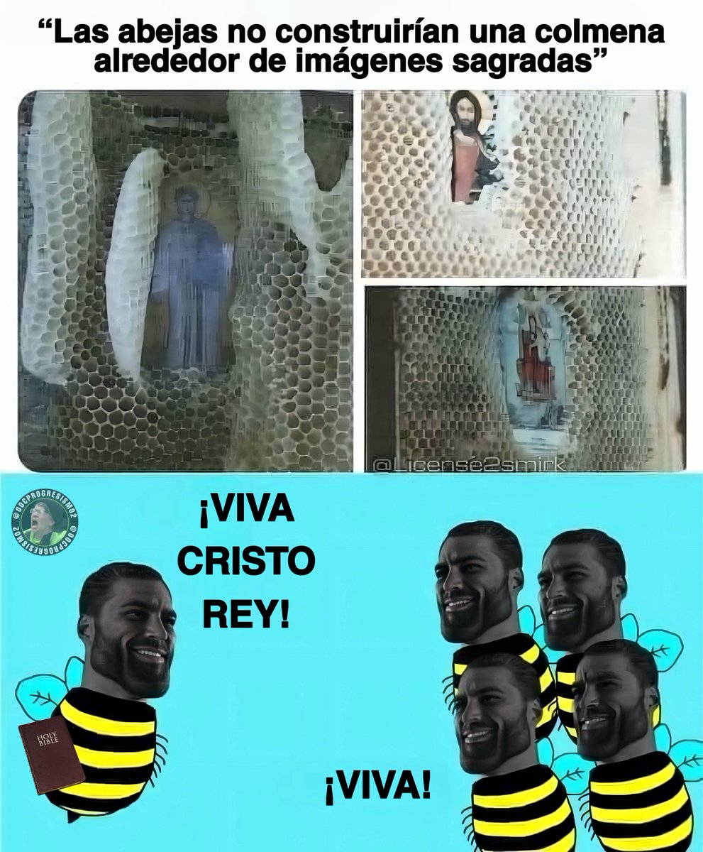 Progresismo Out Of Context tweet media