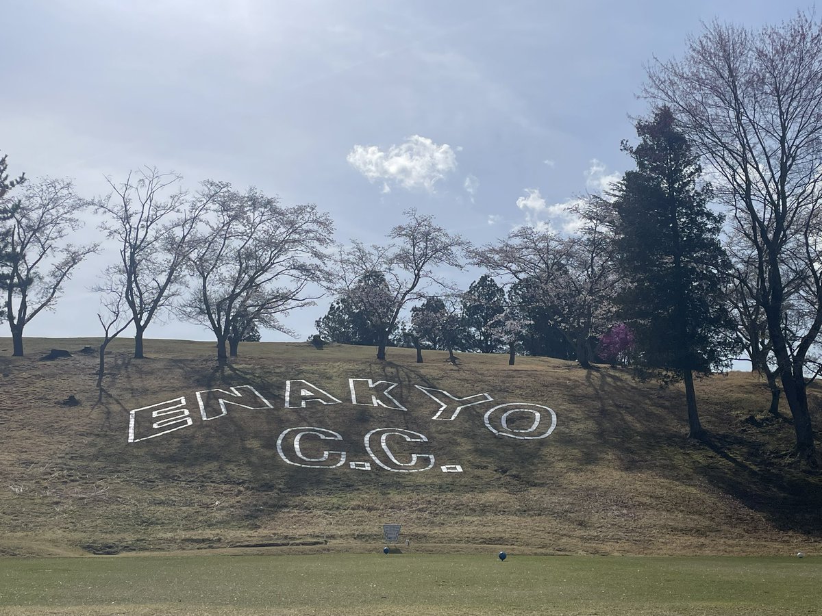 もっちゃん🍺🍶🎤🏮🍜🍖🏌️‍♂️ tweet media