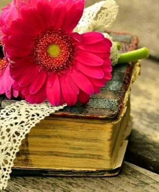 🌻ڈاکٹر عفراء اعوان ملک🍀 tweet media