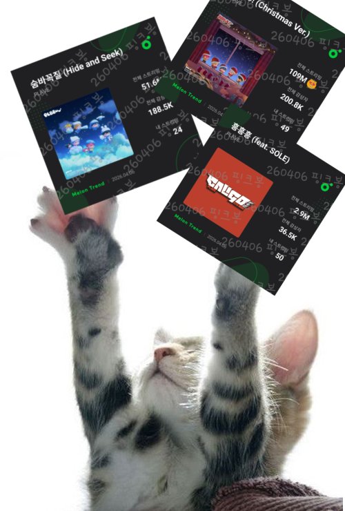 핑크봉 tweet media