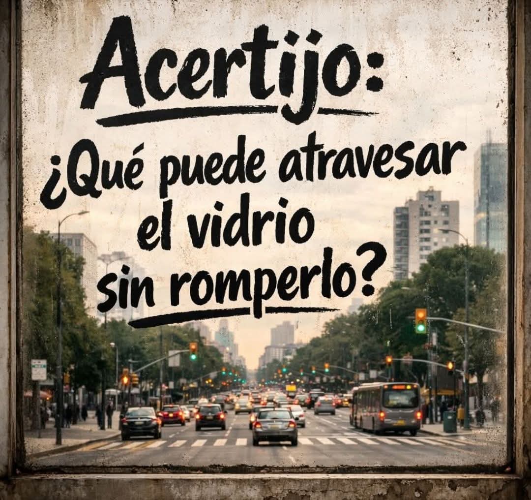 Marcela Quintero tweet media